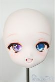 画像1: DD/DDH-01:カスタムヘッド/BJD　球体関節人形 A-25-11-12-366-NY-ZA (1)