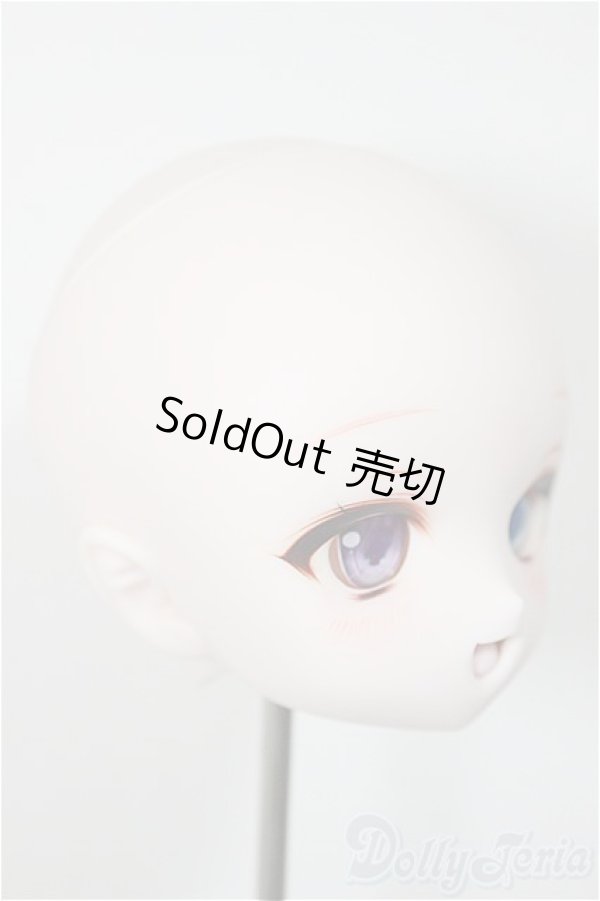 画像2: DD/DDH-01:カスタムヘッド/BJD　球体関節人形 A-25-11-12-366-NY-ZA (2)