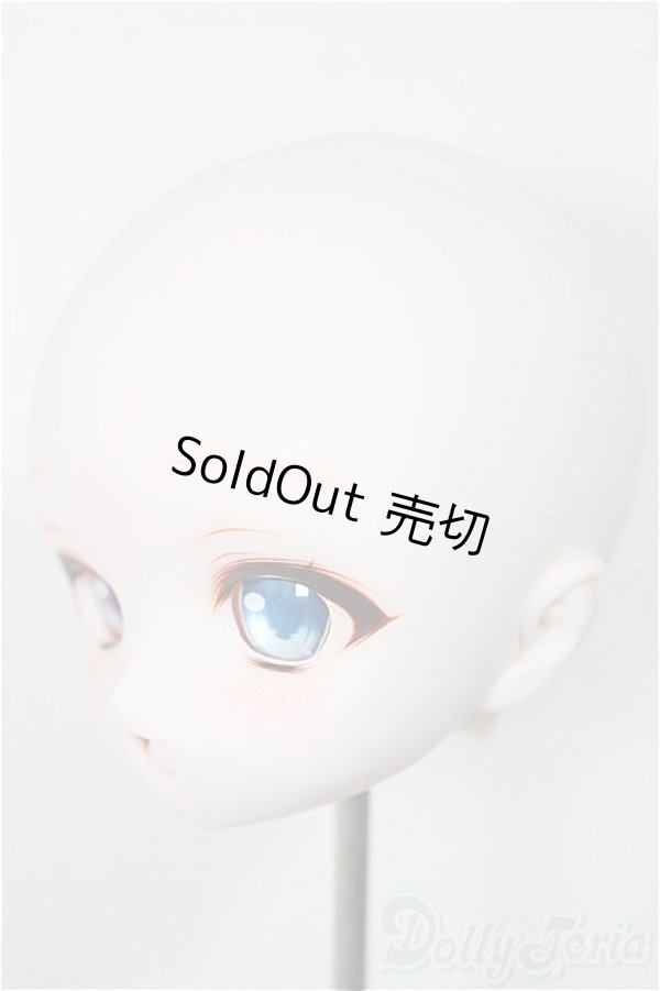 画像3: DD/DDH-01:カスタムヘッド/BJD　球体関節人形 A-25-11-12-366-NY-ZA (3)