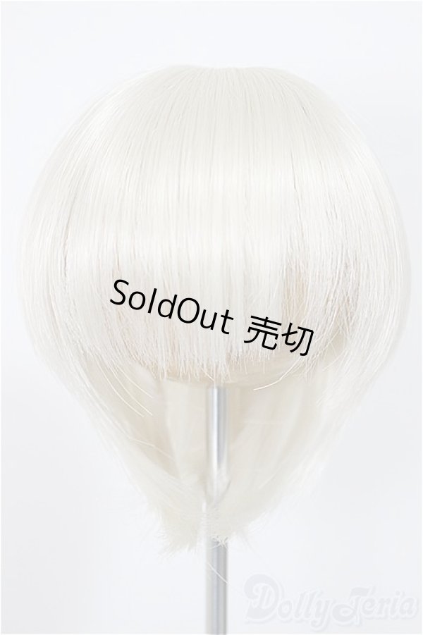 画像1: 7-8inch/ウィッグ/インチ　BJD　MJD　ドール用 A-25-11-19-116-NY-ZA (1)