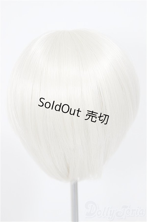 画像2: 7-8inch/ウィッグ/インチ　BJD　MJD　ドール用 A-25-11-19-116-NY-ZA (2)