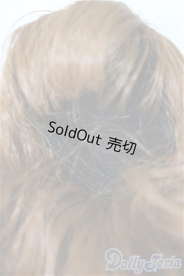 画像3: 7-8inch/ウィッグ/インチ　BJD　MJD　ドール用 A-25-11-19-115-NY-ZA (3)