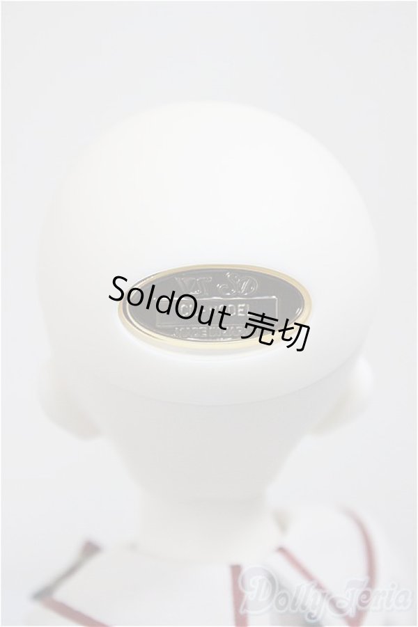 画像5: SDM女の子/コーディネートモデルF-62/BJD　球体関節人形 A-25-11-19-253-NY-ZA (5)