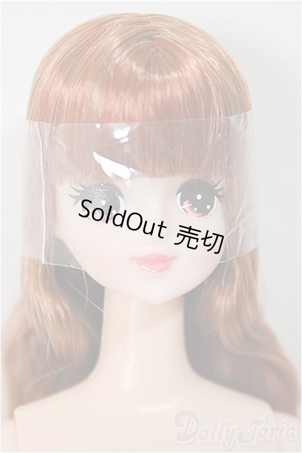 画像1: リカちゃんキャッスル/マリー/BJD　球体関節人形 A-25-11-26-131-NY-ZA (1)