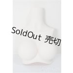 画像: MDD/MDD2.0-B-L-SW:上半身パーツ L胸/0 A-25-11-26-113-NY-ZA