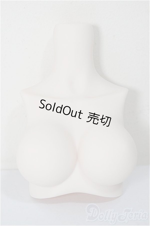 画像1: MDD/MDD2.0-B-L-SW:上半身パーツ L胸/0 A-25-11-26-113-NY-ZA (1)