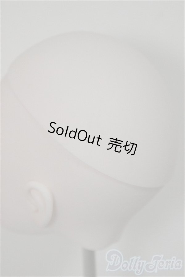 画像5: DD/DDH-27:カスタムヘッド/BJD　球体関節人形 A-25-11-26-117-NY-ZA (5)