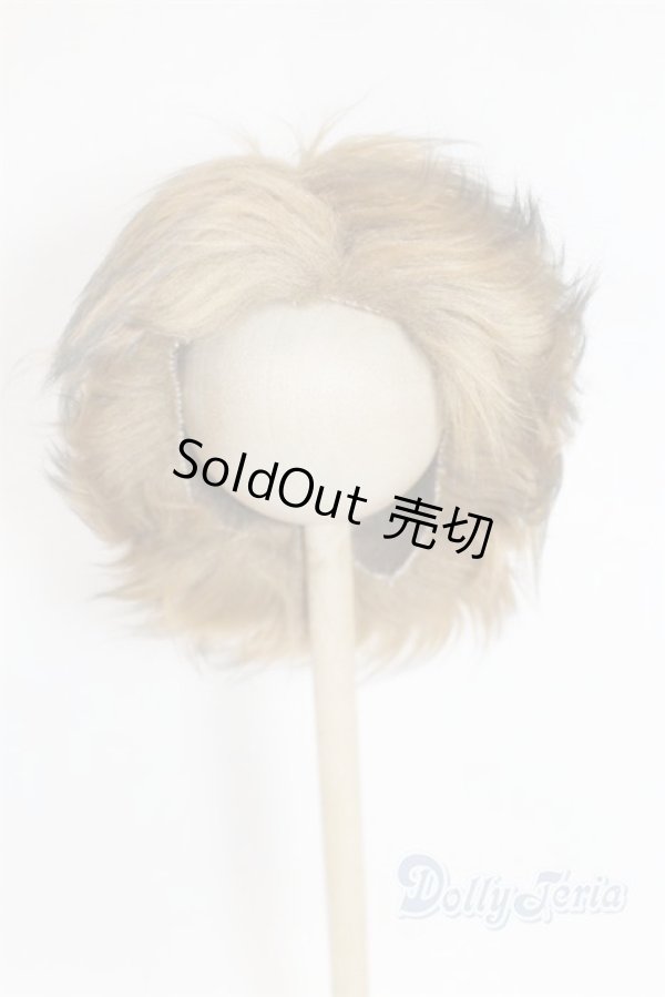 画像1: 8-9inch/ウィッグ/インチ　BJD　MJD　ドール用 A-25-11-26-095-NY-ZA (1)