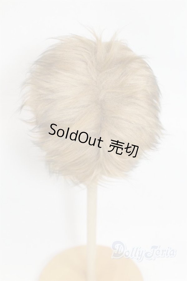 画像2: 8-9inch/ウィッグ/インチ　BJD　MJD　ドール用 A-25-11-26-095-NY-ZA (2)