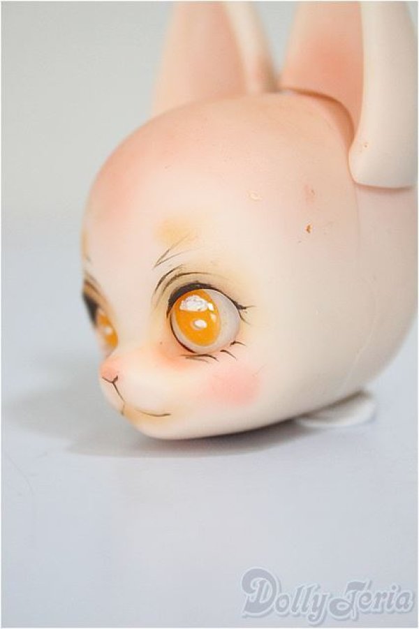 画像3: Piccodo/FURRY　FOX/ A-25-11-26-164-NY-ZA (3)