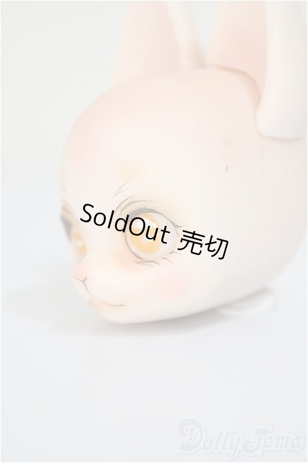 画像3: Piccodo/FURRY　FOX/ A-25-11-26-164-NY-ZA (3)