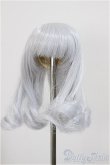 画像1: 4inch/ウィッグ/インチ　BJD　MJD　ドール用 A-25-11-26-138-NY-ZA (1)