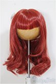 画像1: 8-9inch/Pengin Workshop様 ウィッグ/インチ　BJD　MJD　ドール用 A-25-11-26-213-NY-ZA (1)