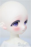 画像3: TinyFox/ミス・オイスター ウェステ1/6/BJD　球体関節人形 A-25-11-26-209-NY-ZA (3)