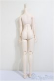 画像2: DDP/ベースボディ/BJD　球体関節人形 A-25-11-26-260-NY-ZA (2)