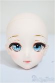 画像1: DDH-09/狐花様製カスタム/BJD　球体関節人形 A-25-11-26-259-NY-ZA (1)