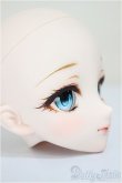 画像2: DDH-09/狐花様製カスタム/BJD　球体関節人形 A-25-11-26-259-NY-ZA (2)