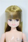 画像1: リカちゃんキャッスル/ハッピースマイルリカちゃん/BJD　球体関節人形 A-25-11-26-251-NY-ZA (1)