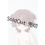 画像: デジタルペットの仮想世界/暴れ子犬/ A-25-11-26-351-NY-ZA