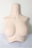 画像1: DD2.0/上半身パーツ　M胸/0 A-25-12-03-118-NY-ZA (1)