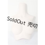 画像: DD2.0/上半身パーツ　M胸/0 A-25-12-03-118-NY-ZA