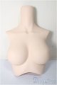 画像: DD2.0/上半身パーツ　M胸/0 A-25-12-03-118-NY-ZA