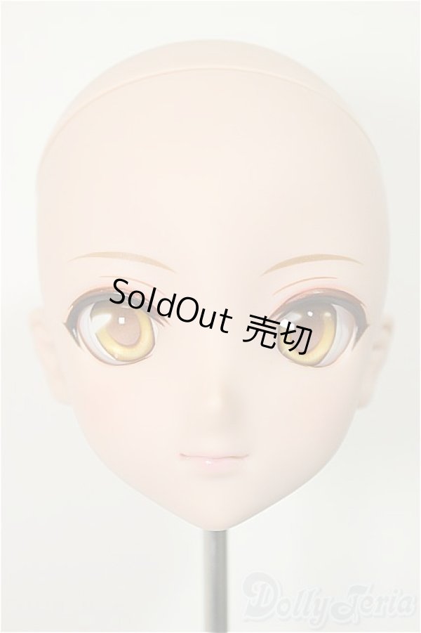 画像1: DDH-09/彩色メイクヘッド/BJD　球体関節人形 A-25-12-03-114-NY-ZA (1)