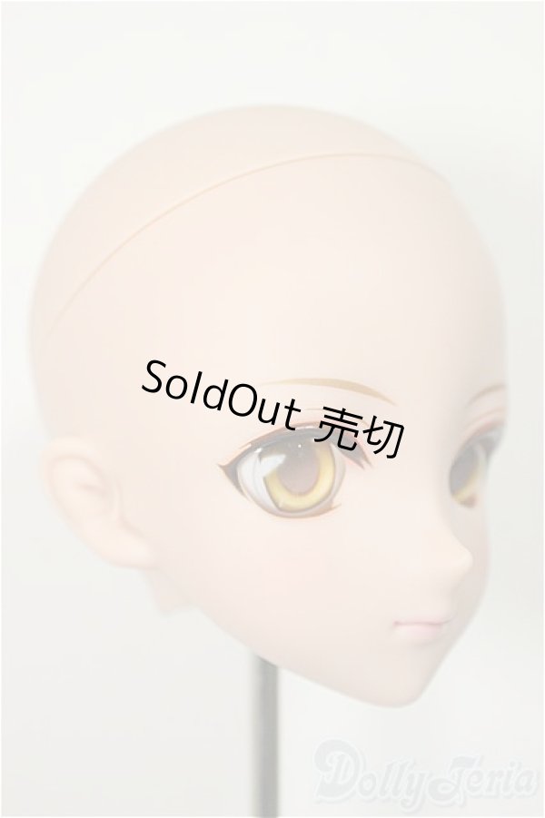 画像2: DDH-09/彩色メイクヘッド/BJD　球体関節人形 A-25-12-03-114-NY-ZA (2)