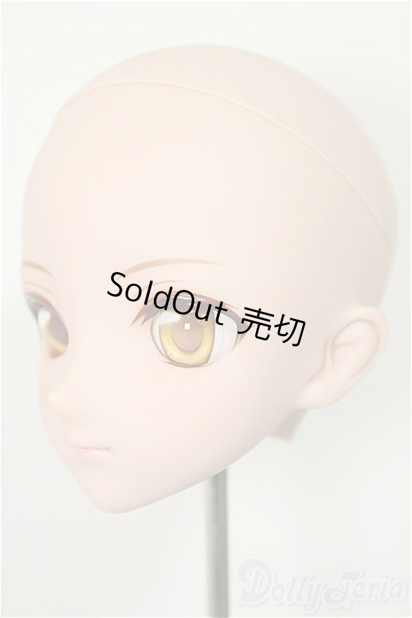 画像3: DDH-09/彩色メイクヘッド/BJD　球体関節人形 A-25-12-03-114-NY-ZA (3)