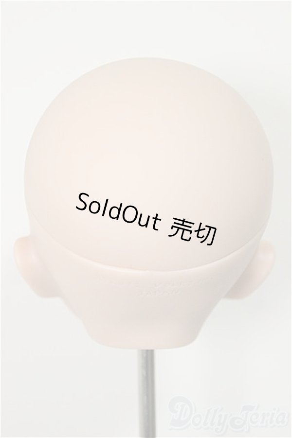 画像4: DDH-09/彩色メイクヘッド/BJD　球体関節人形 A-25-12-03-114-NY-ZA (4)