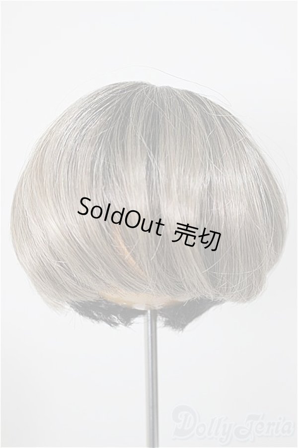 画像1: 8-9inch/ウィッグ/インチ　BJD　MJD　ドール用 A-25-12-03-130-NY-ZA (1)