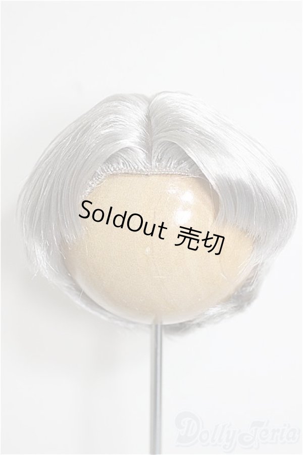 画像1: 8.5-9inch/ウィッグ/インチ　BJD　MJD　ドール用 A-25-12-03-234-NY-ZA (1)