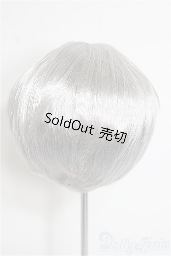 画像2: 8.5-9inch/ウィッグ/インチ　BJD　MJD　ドール用 A-25-12-03-234-NY-ZA (2)