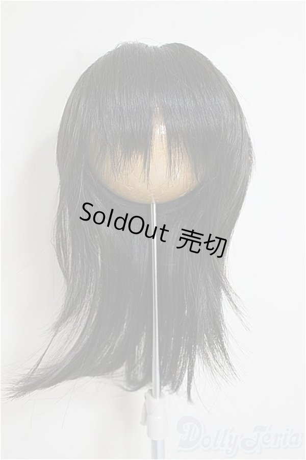 画像1: 8-9inch/ウィッグ/インチ　BJD　MJD　ドール用 A-25-12-03-235-NY-ZA (1)