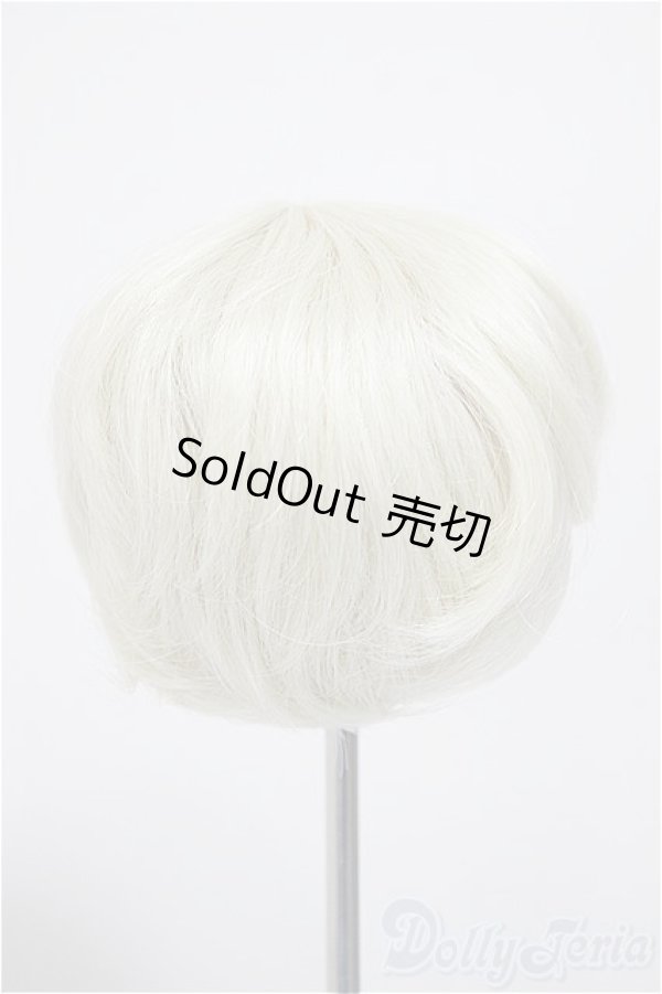 画像2: 7-8inch/ウィッグ/インチ　BJD　MJD　ドール用 A-25-12-03-264-NY-ZA (2)