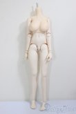 画像1: DDSF3/上半身ぴ〜ちパイL胸/BJD　球体関節人形 A-25-12-17-224-NY-ZA (1)