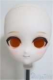 画像1: DDH-17/カスタムヘッド/BJD　球体関節人形 A-25-12-03-211-NY-ZA (1)