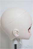 画像2: DDH-17/カスタムヘッド/BJD　球体関節人形 A-25-12-03-211-NY-ZA (2)
