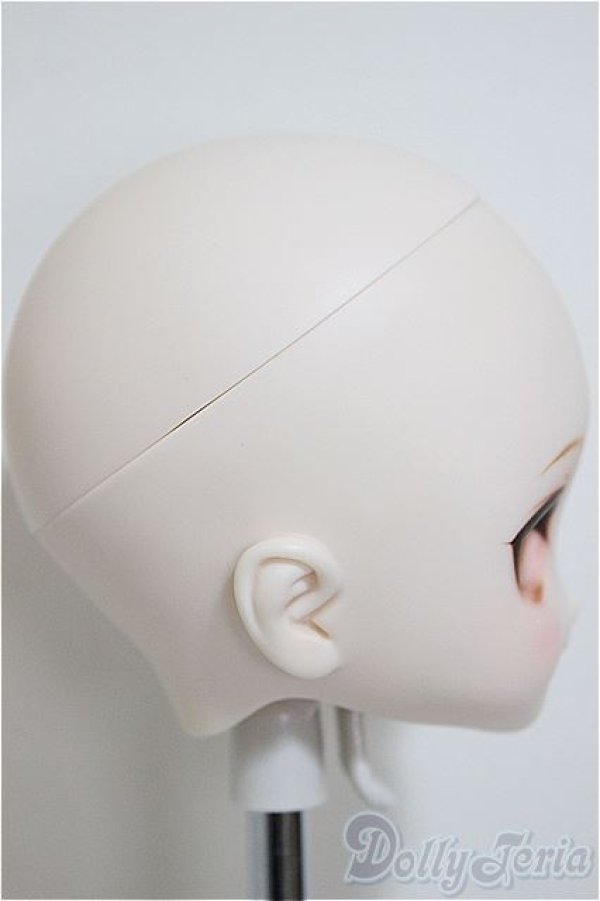 画像2: DDH-17/カスタムヘッド/BJD　球体関節人形 A-25-12-03-211-NY-ZA (2)