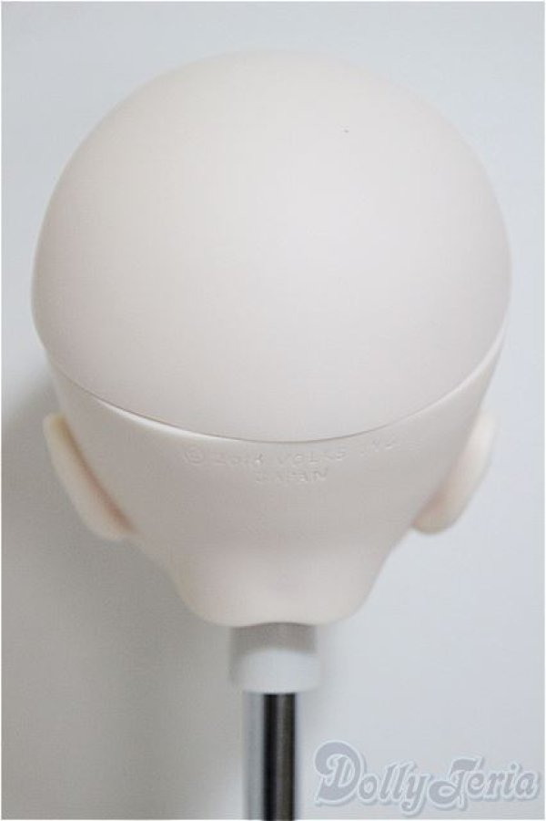 画像3: DDH-17/カスタムヘッド/BJD　球体関節人形 A-25-12-03-211-NY-ZA (3)