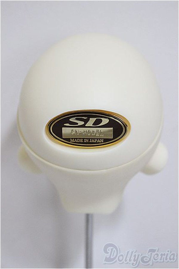 画像3: SDM/F-33:コーディネートモデル/BJD　球体関節人形 A-25-12-03-215-NY-ZA (3)