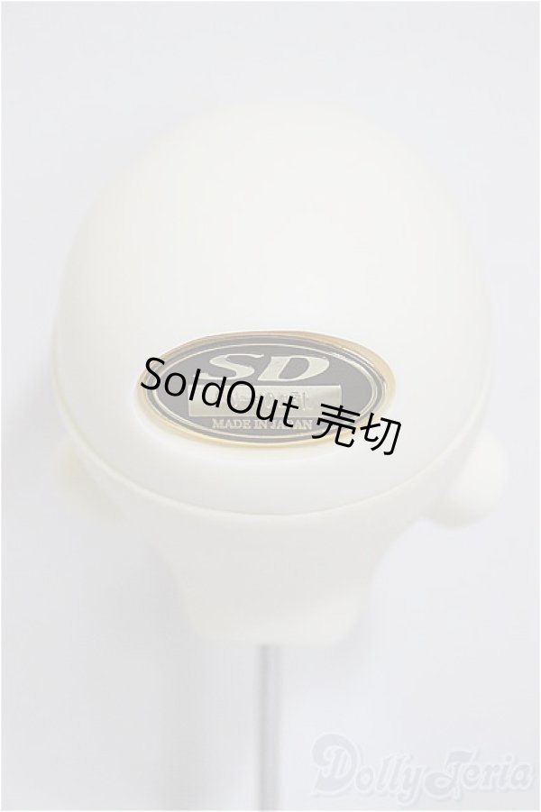 画像3: SDM/F-33:コーディネートモデル/BJD　球体関節人形 A-25-12-03-215-NY-ZA (3)