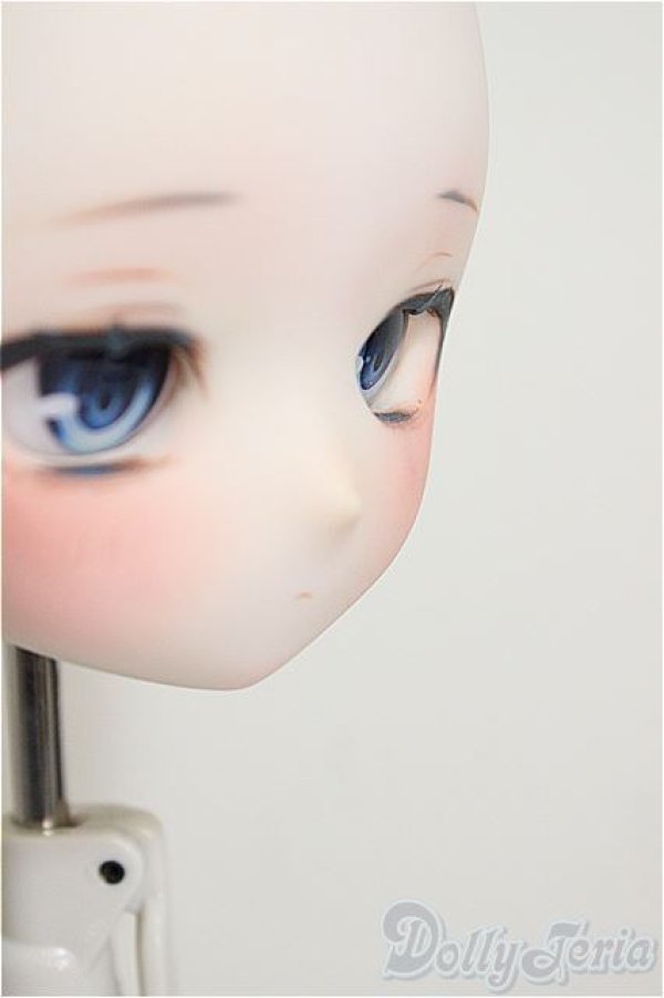 画像6: DDH-01/FANTASICWORLD様カスタム・ウィッグ付き/BJD　球体関節人形 A-25-12-03-216-NY-ZA (6)