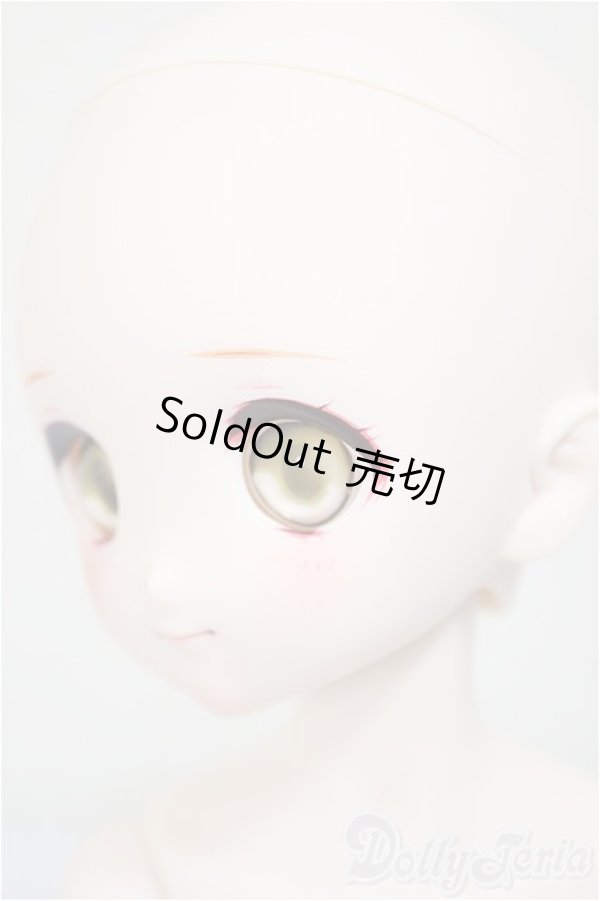 画像3: MDD2.0もちあし/DDH-22ヘッド/BJD　球体関節人形 A-25-12-03-272-NY-ZA (3)