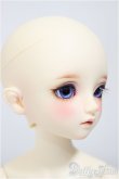 画像3: SDM女の子/コーディネートモデルF-58/BJD　球体関節人形 A-25-12-03-352-NY-ZA (3)