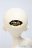 画像5: SDM女の子/コーディネートモデルF-58/BJD　球体関節人形 A-25-12-03-352-NY-ZA (5)
