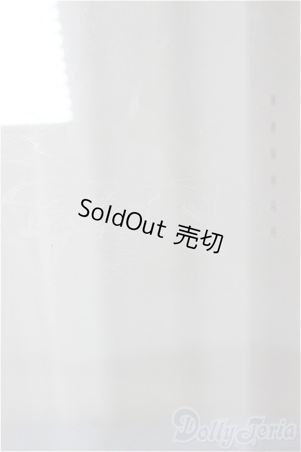 画像3: 1/6サイズ/ケース/0 A-25-12-10-134-NY-ZA (3)