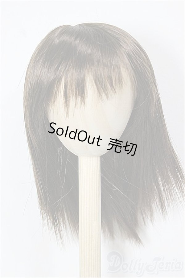 画像1: 9-10inch/ウィッグ/インチ　BJD　MJD　ドール用 A-25-12-03-375-NY-ZA (1)