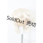 画像: 6-7inch/ウィッグ/インチ BJD MJD ドール用 A-25-12-03-373-NY-ZA