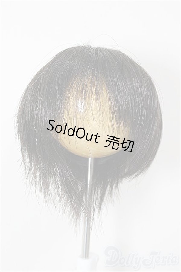 画像1: 7-8inch/ウィッグ/インチ　BJD　MJD　ドール用 A-25-12-03-372-NY-ZA (1)